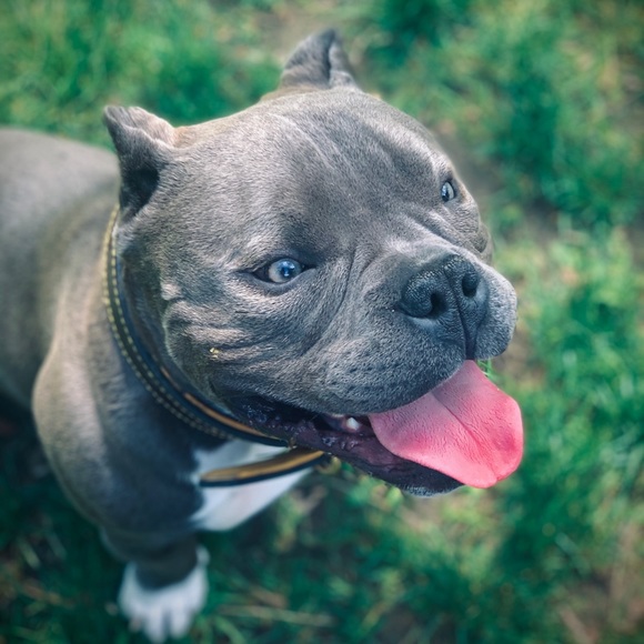 Been Jammin’ - Picture 3 of 4